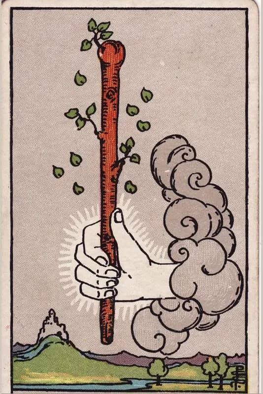 Değnek As kartı